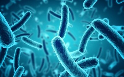 NUEVA ALERTA DE LISTERIA MONOCYTOGENES